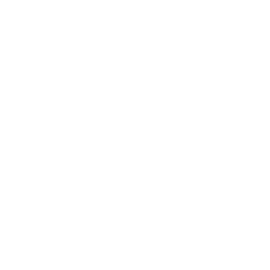 Rechtliche Beratung Steuern optimieren mit WSS